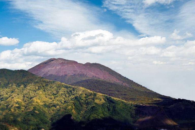 Från Pompeji: Vesuvius Entry med transfer och Audioguide