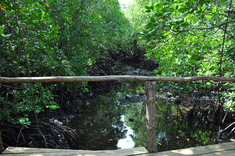 Zanzibar: Jozani Forest och Rock Restaurant TourZanzibar: Jozani-skogen och Rock Restaurant-tur