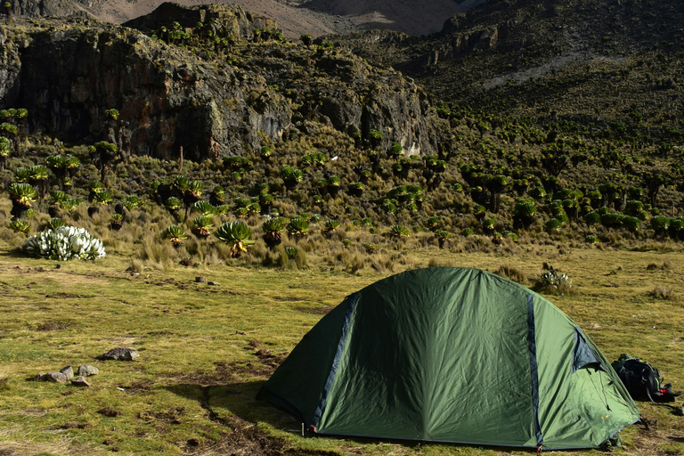 4 jours au Mont Kenya : Randonnée palpitante sur la route du Sirimon