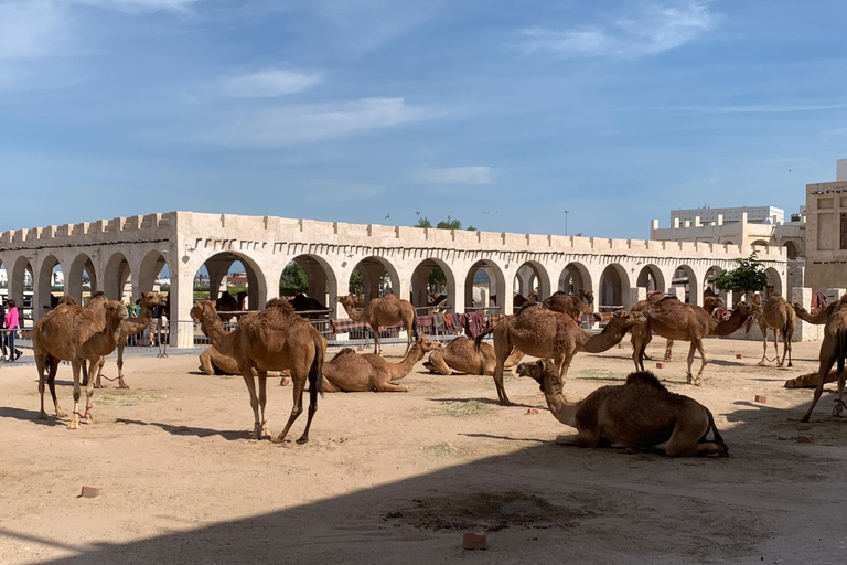 Prywatna wycieczka z przewodnikiem po mieście Doha - poznaj cuda KataruSouq Waqif, wioska kulturalna Katara i miasto Lusail