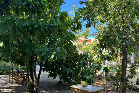 Puerto Plata: El Gallo Ecolodge Day Pass with Lunch
