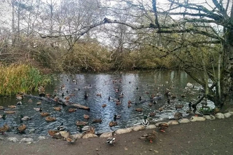 Vancouver family day trip to Migratory Bird Sanctuary