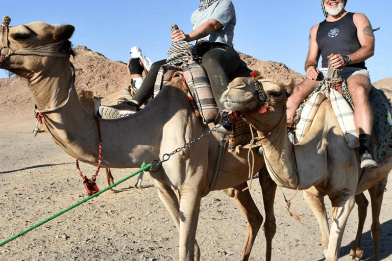 HRG: Desert Buggy Safari W Bedouin camp Visit & Optional BBQ BBQ & Sunset: Double Buggy for 2 people with BBQ Dinner