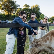 'Farm to Bottle' Rum Tour & Tastings: The Tweed/Gold Coast