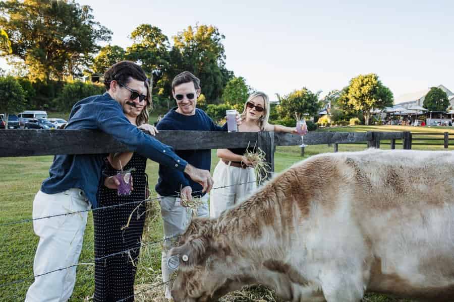 Husk Rum Farm to Bottle Tour in The Tweed. Foto: GetYourGuide