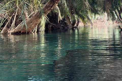 Tour delle sorgenti termali di Moshi/Arusha kikuletwa