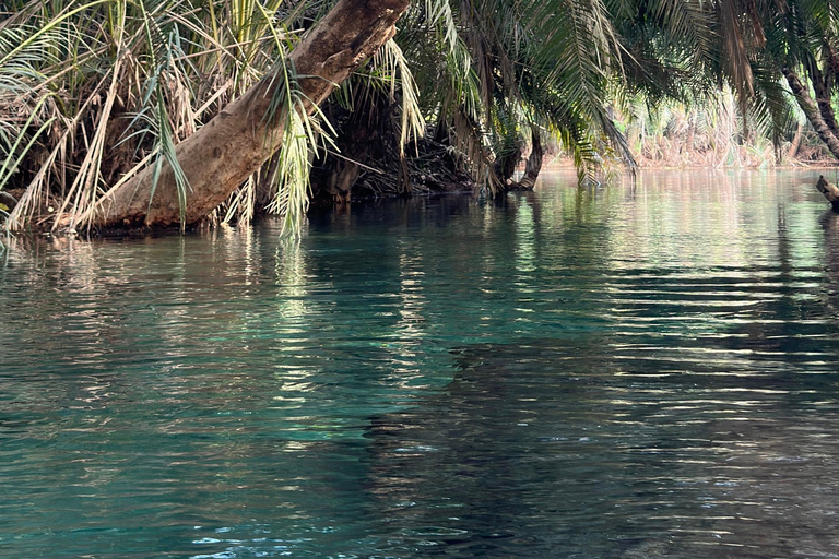 Tour delle sorgenti termali di Moshi/Arusha kikuletwa
