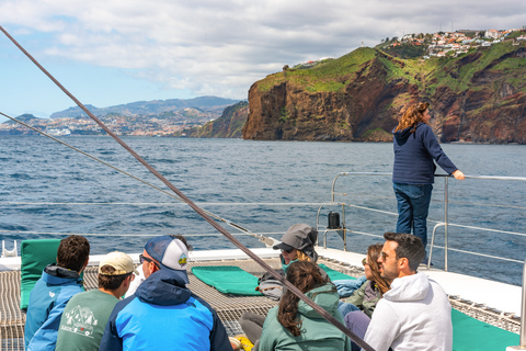 Vanuit Funchal: dolfijnen- en walvisspotten op Madeira