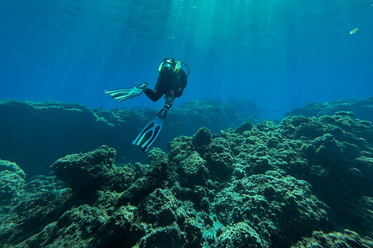 Curso de mergulho para iniciantes na área das tartarugas em TenerifeCurso de mergulho privado para iniciantes no parque natural de Tenerife