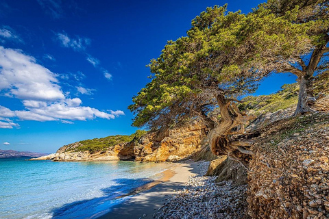 Creta e Heraklion: Escursione diretta alla spiaggia di VoulismaEscursione di un giorno: Pick up da Agia Pelagia, Lygaria e Fodele