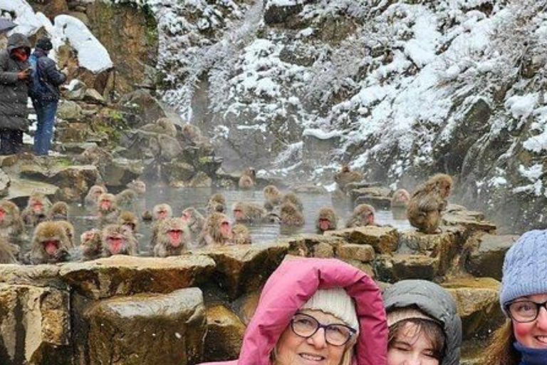 Nagano/Tokyo: Snow Monkey Private Car Tour Hotel Pick & Drop