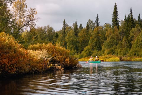 Levi: Kanufahren in der Wildnis auf dem Kapsajoki-Fluss