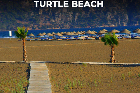 Dalyan Tour: Mud Bath, Rock Tombs & Turtle Beach with Lunch