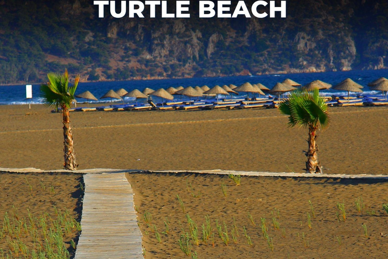 Dalyan Tour: Mud Bath, Rock Tombs & Turtle Beach with Lunch