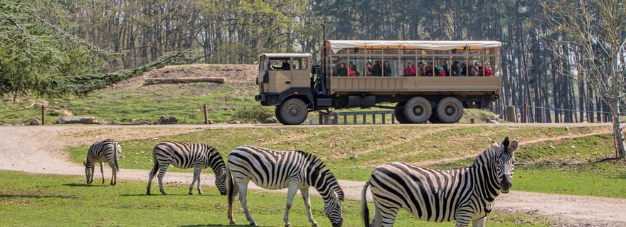 Au départ de Paris : Safari au parc de Thoiry et visite du château