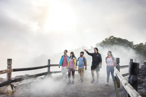 TE PUIA Geothermal Park Rotorua - Group Day Trip Ex Auckland