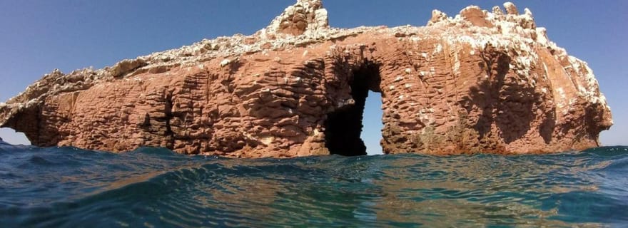 La Paz : Visite de l'île Espíritu Santo avec plongée en apnée et déjeuner
