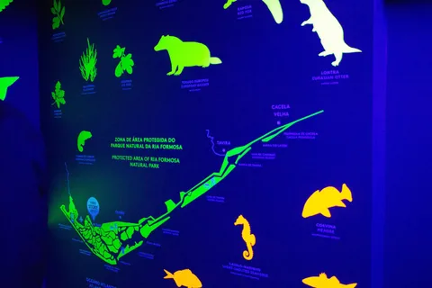 Faro Story Spot - Multimedia Museum&Restaurant: Rondleiding&Proeverij