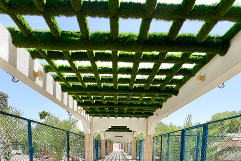 Oman: 5-Day Adventure Tour with Forts, Souqs & Mountains