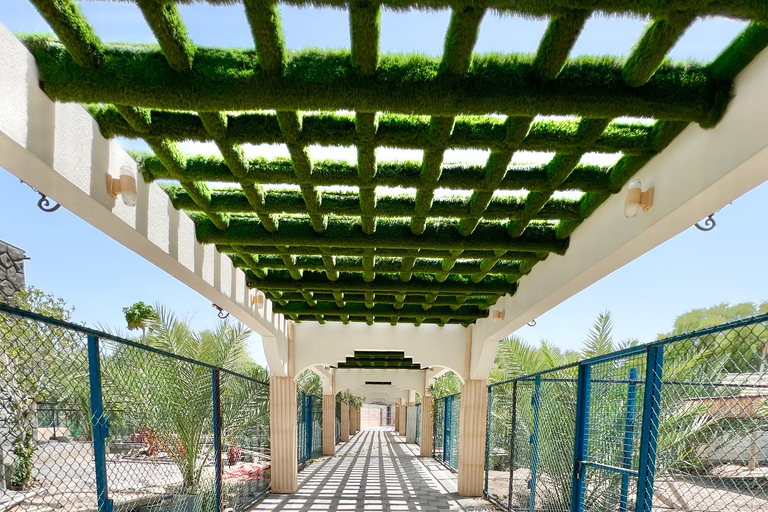 Oman: 5-Day Adventure Tour with Forts, Souqs & Mountains