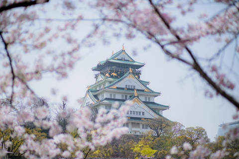 Osaka: Osaka Castle & Samurai History Walking Tour Small Group Tour with Entrance fee