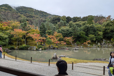 Tokyo: Personalized Half-day Tour