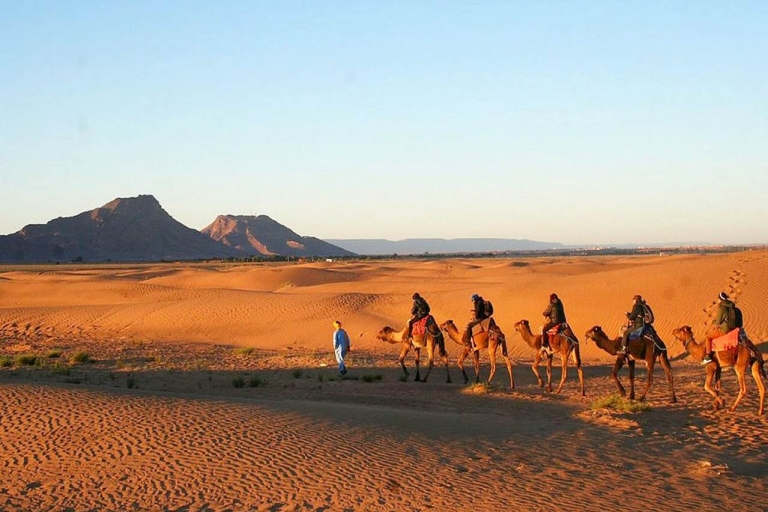 2-dniowa wycieczka po pustyni z Marakeszu na pustynię Zagora