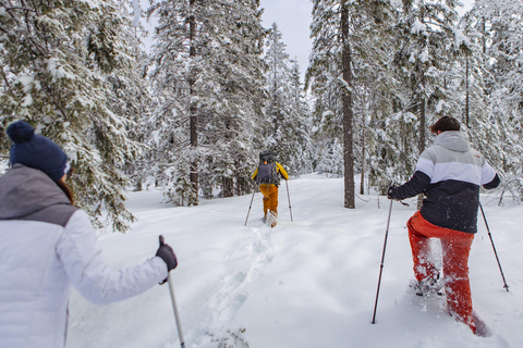 Depuis Oslo : Visite guidée en raquettes de la forêt d'OslomarkaDepuis Oslo : Randonnée guidée en raquettes dans la forêt d'Oslomarka