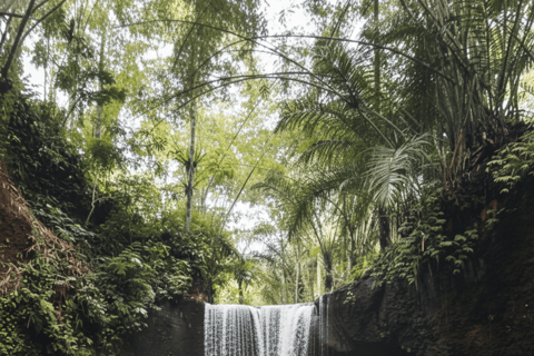 Bali: Hidden And New Secret Waterfalls All Including