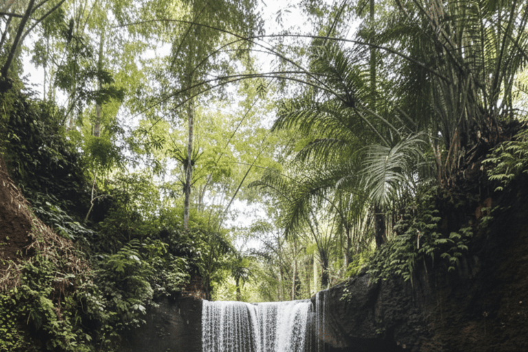Bali: Hidden And New Secret Waterfalls All Including