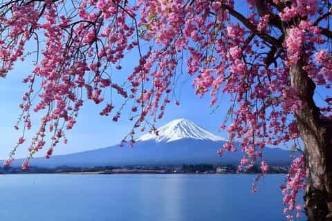 Mount Fuji In Spring And Blue Sky by Michaël Ducloux
