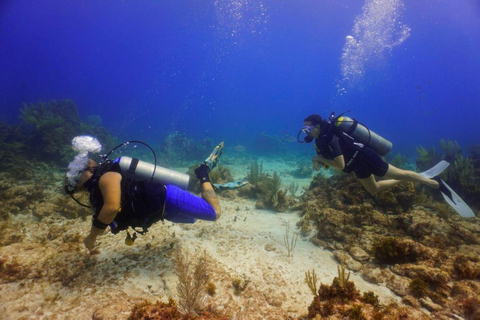 Desde Cancún: Aventura de Buceo en Puerto MorelosPuerto Morelos: Aventura de buceo