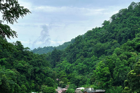 Chiang Mai: excursión de un día al Giant Café y al pueblo de Mae KampongChiang Mai: Excursión de un día al Café Gigante y al pueblo de Mae Kampong