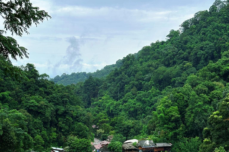 Chiang Mai: excursión de un día al Giant Café y al pueblo de Mae KampongChiang Mai: Excursión de un día al Café Gigante y al pueblo de Mae Kampong