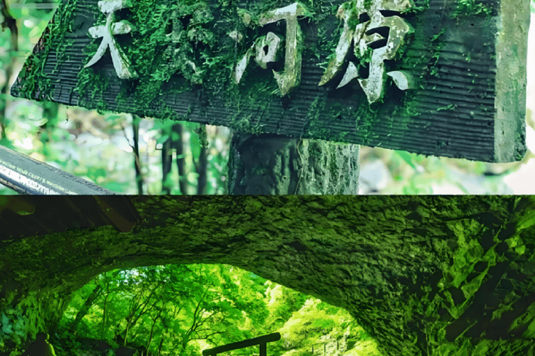 From Fukuoka: Miyazaki, Takachiho Gorge and Shrines Day Tour