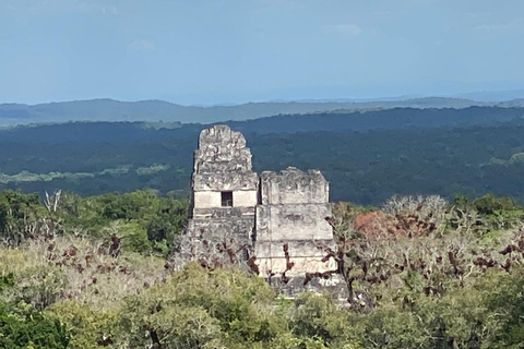 Tikal: A One-Day Adventure in the Heart of the Mayan World