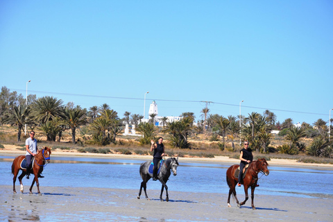 DJERBA : Paseo a caballo privado (2h).