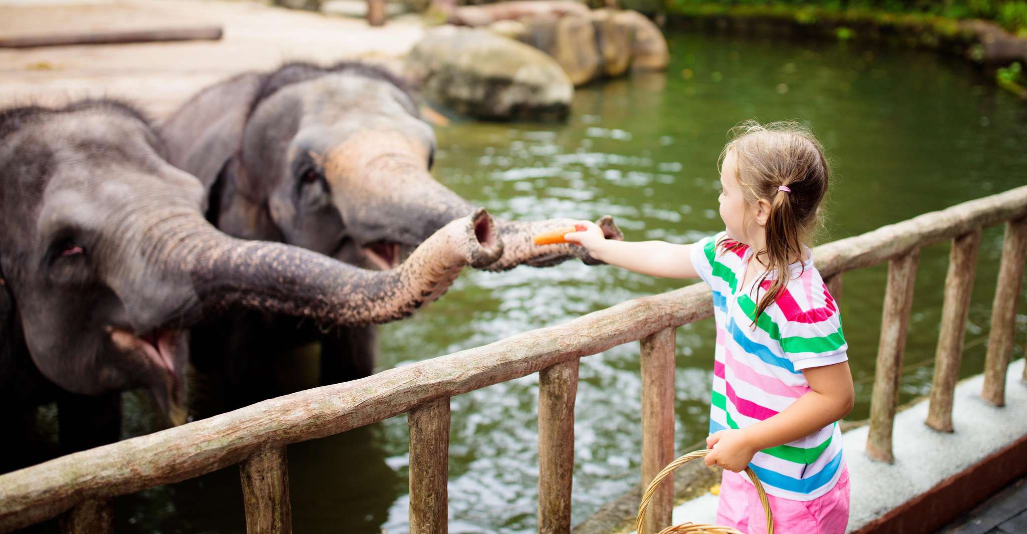 Warsaw_ Parque zoológico con transporte privado - Hizvo