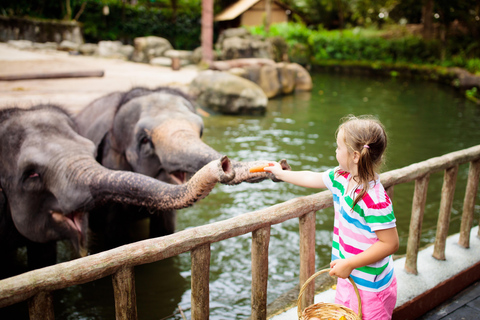 Warszawski park zoologiczny z prywatnym transportem5 godzin w zoo z prywatnym transportem