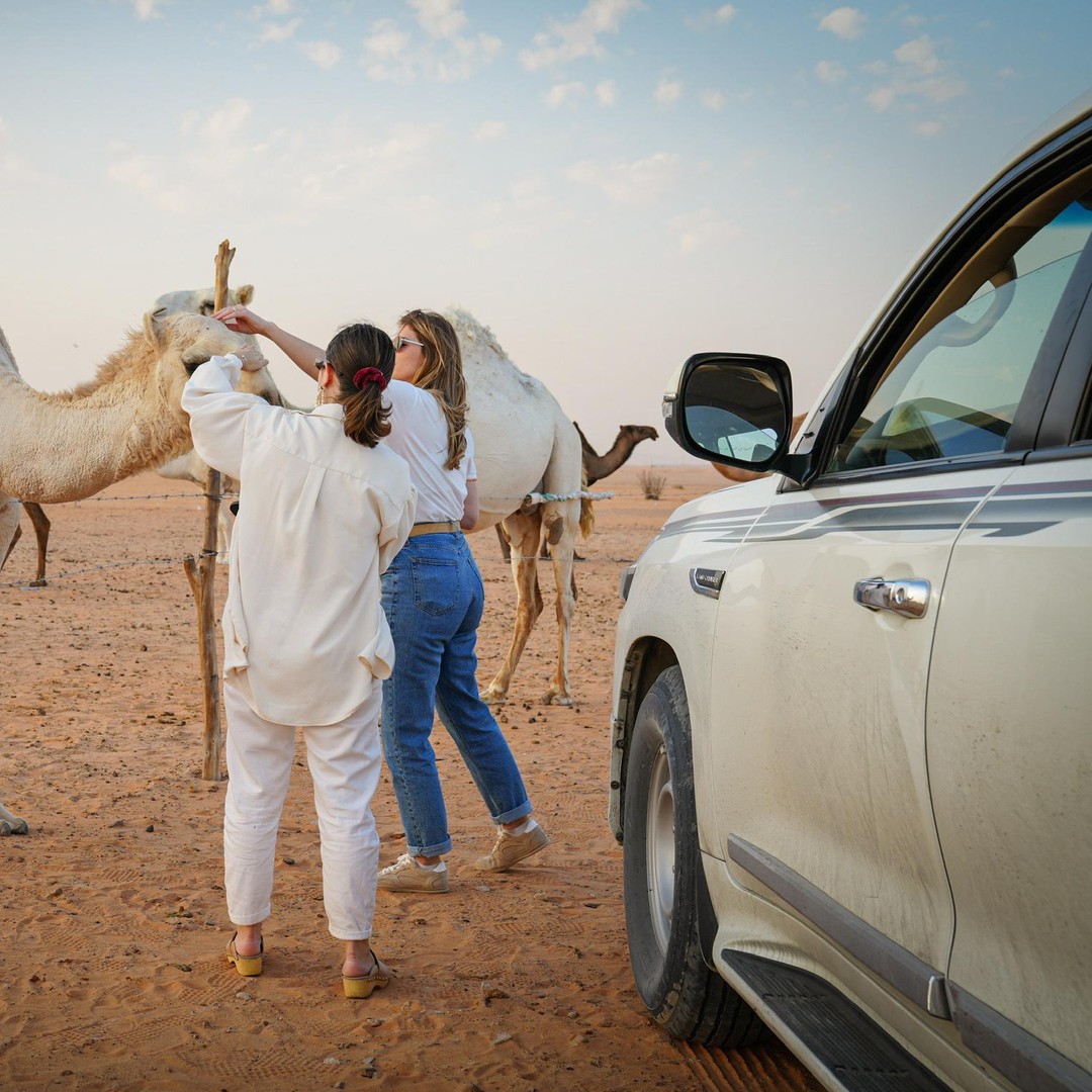 利雅得参观沙漠中心的骆驼农场| GetYourGuide, image size:1080x1080