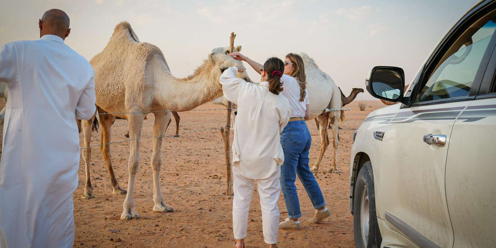 利雅得参观沙漠中心的骆驼农场| GetYourGuide, image size:1585x792