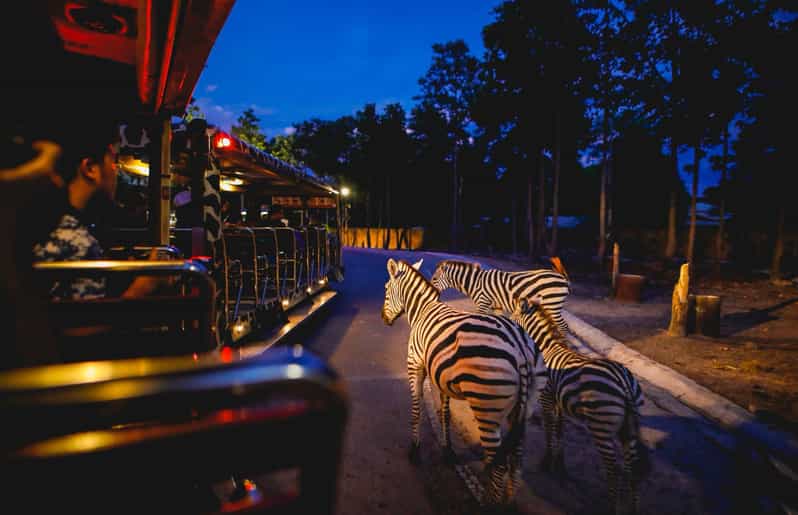 Chiang Mai Night Safari Ticket & Tram Rides Optional Pickup