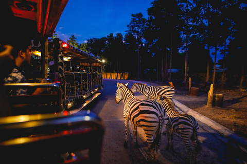 Chiang Mai Night Safari Full Access Ticket & Optional Pickup Option A: Night Safari Full Access Ticket Without Pickup