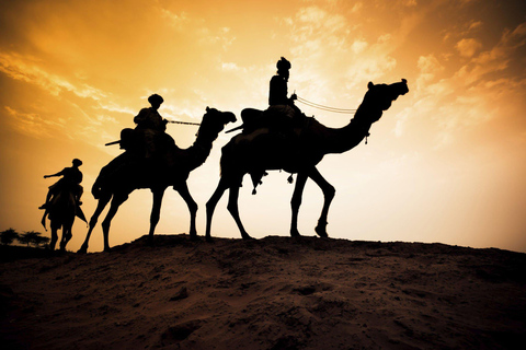 Agadir/Taghazout: Camel Riding and Flamingo River Tour From Taghazout: Camel Ride