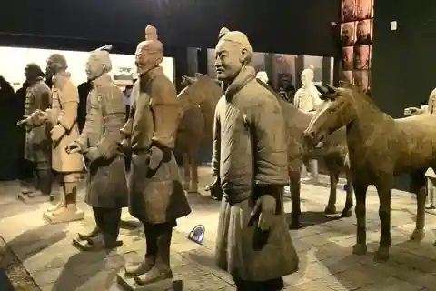 1 Day Beijing to Xi'an Terracotta Warriors Tour by Air