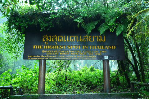 Doi Inthanon nationalpark &amp; vandring Kew Mae Pan Nature Trail