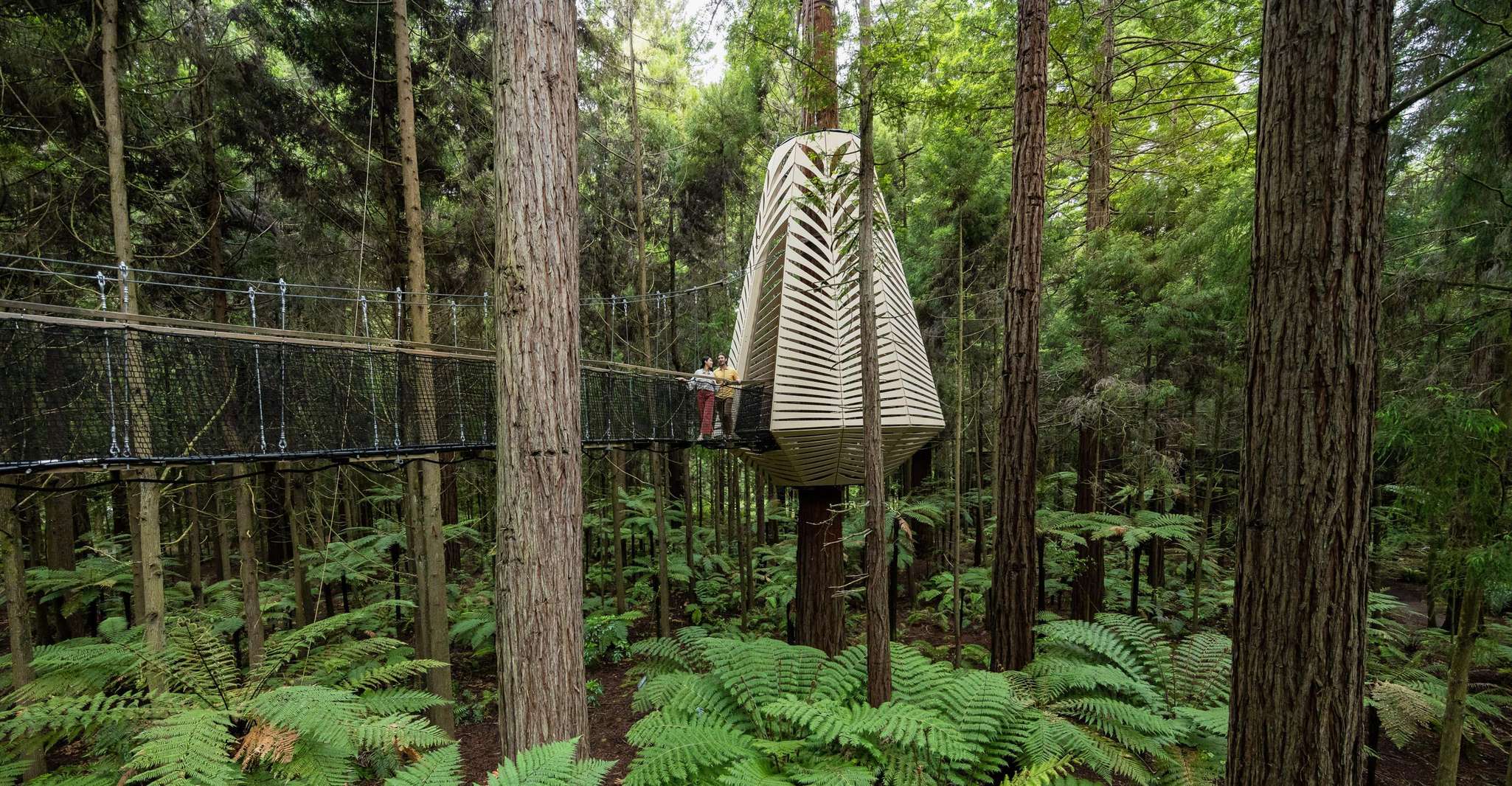 Rotorua, Redwoods Altitude & Day/Night Treewalk Combo - Hizvo