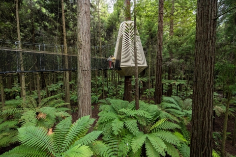 Rotorua: Redwoods hoogte & dag/nacht boomwandeling comboRotorua: Redwoods Hoogte & Dag/Nacht Treewalk-combo