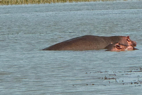 Addis Abeba: 3-tägige Tour zu den Seen des Rift Valley mit Guide
