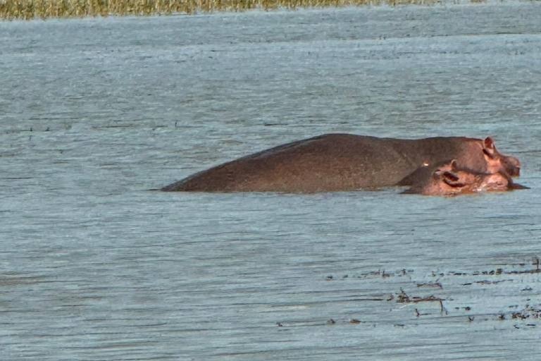 Addis Abeba: 3-tägige Tour zu den Seen des Rift Valley mit Guide
